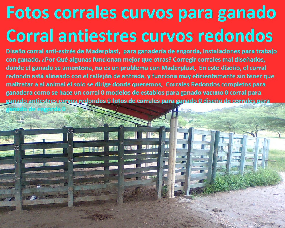 Corrales Redondos completos para ganadera como se hace un corral 0 modelos de establos para ganado vacuno 0 corral para ganado antiestres curvos redondos 0 fotos de corrales para ganado 0 diseño de corrales para ganado de engorda 0 Corrales Redondos completos para ganadera como se hace un corral 0 modelos de establos para ganado vacuno 0 corral para ganado antiestres curvos redondos 0 fotos de corrales para ganado 0 Mangas De Coleo, Corral Caballerizas, Pesebreras De Caballos, Plaza Toros, Brete Ganadero, Apretaderos Embarcaderos, Postes Tablas, Polines Varetas, Mangas De Coleo, Horcones Madera Plástica, Corrales, Establos De Ganado, diseño de corrales para ganado de engorda 0